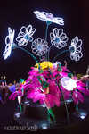 edc2012-016.jpg