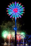 edc2012-118.jpg