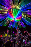 Highlight for album: Electric Daisy Carnival Vegas 2013