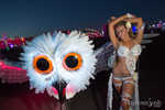 edc2013-096-7B7A1250.jpg