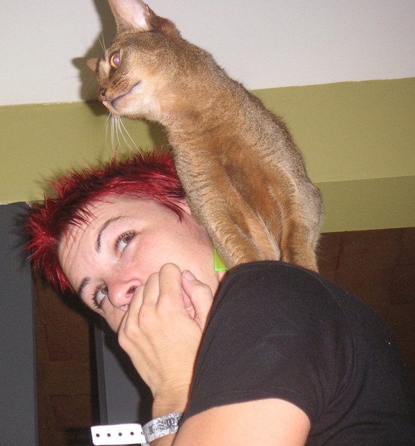 Ms. Kitty goes shoulder hopping the whole weekend